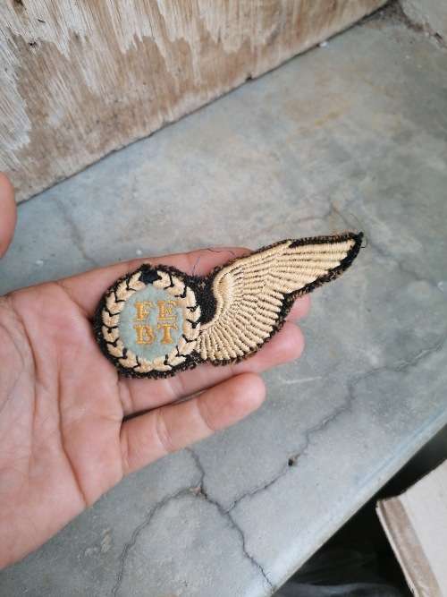 SA Air Force cloth wing