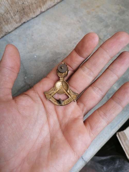 South Africa Army Genie Engineers Beret Badge Both Screws Intact