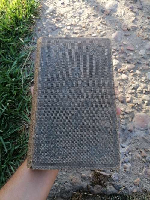 helons bedevaart naar Jerusalem van fr strauss 1860