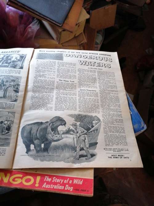 NOT SEEN MUCH THESE DAYS.1960S LOOK AND LEARN BOOK(72)