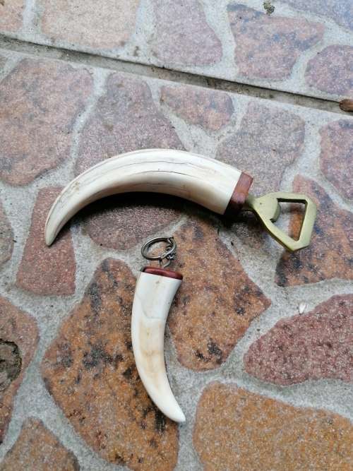 Bottle opener and key chain
