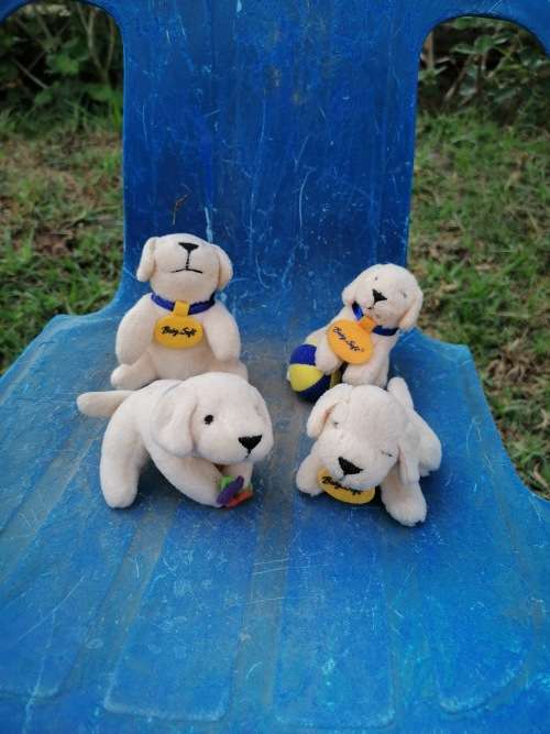 collection baby soft hondtjies