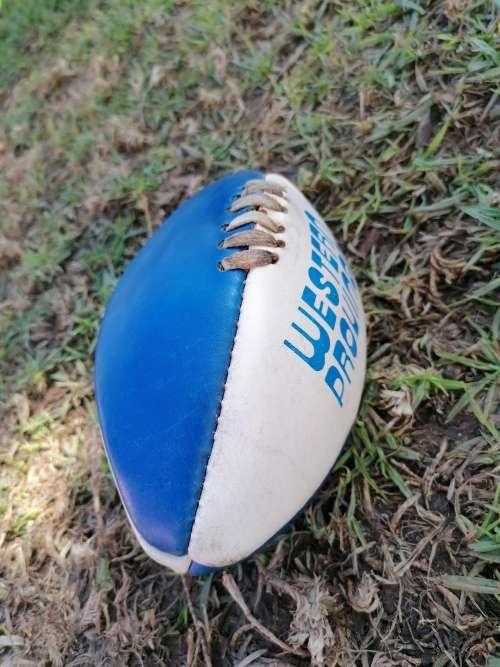 Small Western Province Rugby Ball