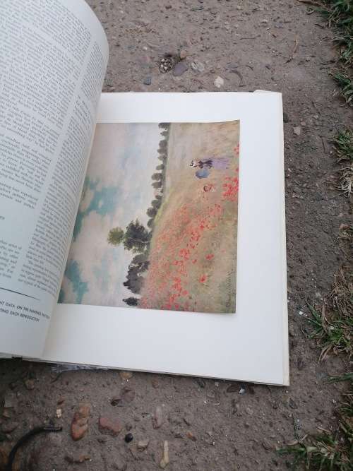 FRENCH IMPRESSIONISTS