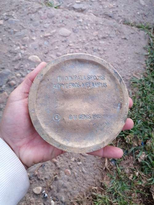 Rare find original two impala spoors cast in brass by B. W GENIS 1985