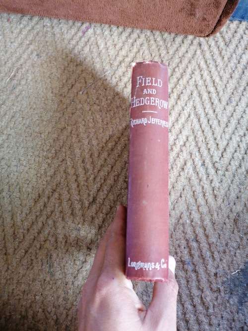 Field and Hedgerow by Richard Jefferies, Last Essays, 1890