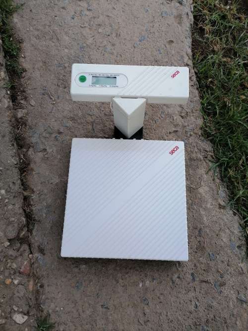 seca model 734 series infant scale