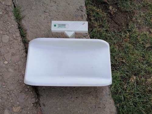 seca model 734 series infant scale