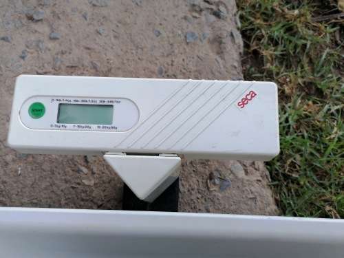 seca model 734 series infant scale