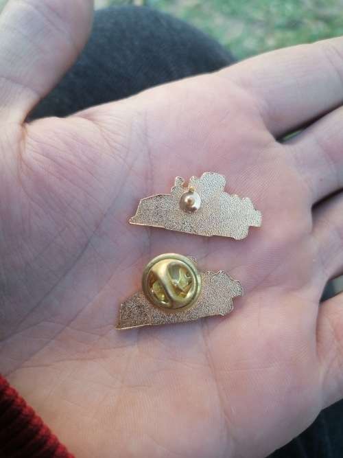 2 Enameled pins
