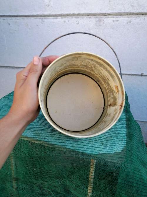 Large Vintage cobra white wax polish tin with some content