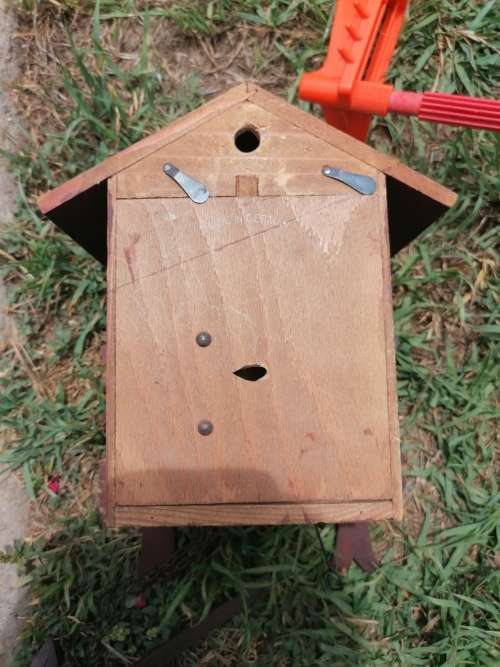 Vintage 1950`s Schatz Cuckoo Clock 8-Day