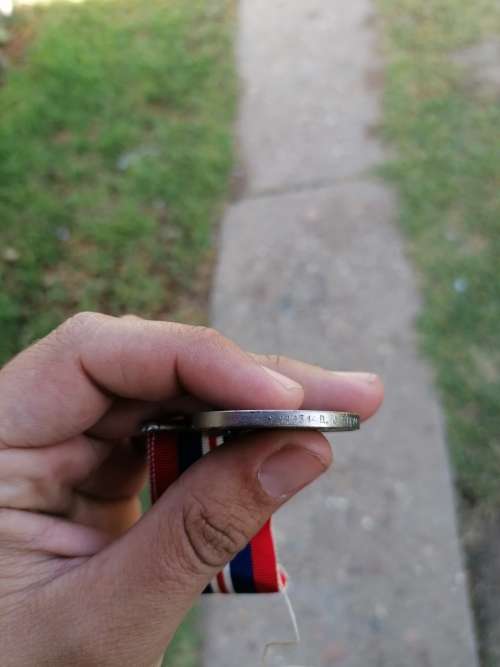 1939-1945 Medal Belonged to 111131 D. J STEYN