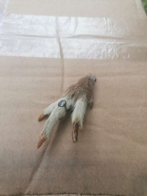 Vintage good luck brooch Needs tlc