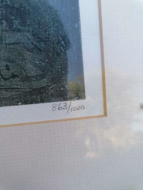 Framed limited edition 863/1000 Hugo Naude print