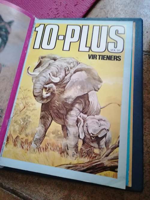 10-PLUS STORIES VIR TIENERS 1980 BOEK REEKS IN FILE.PUIK TOESTAND