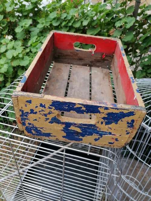 Vintage 1960s pepsi crate. Some paint still need to be removed