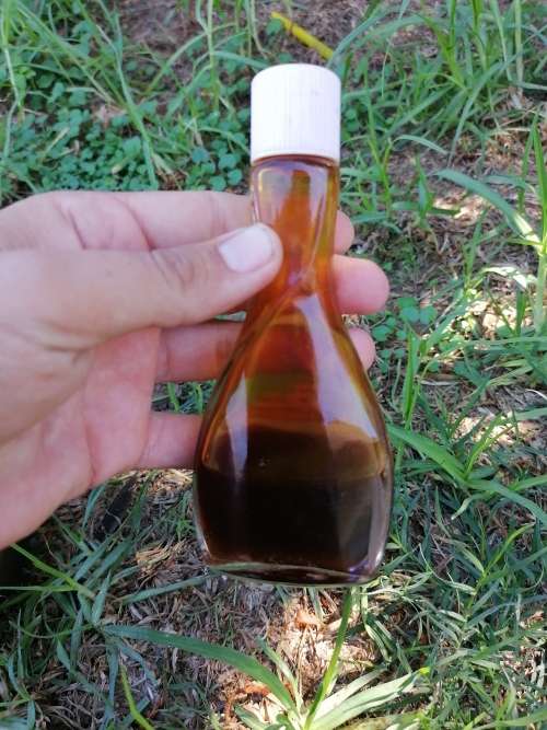 vintage softique shampoo