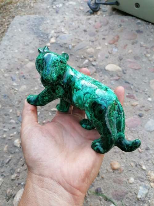 MALACHITE TIGER