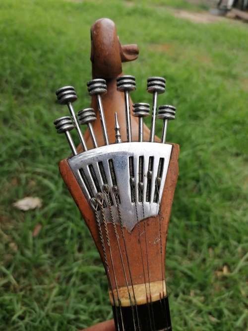 Very rare find a antique banjolin rare model