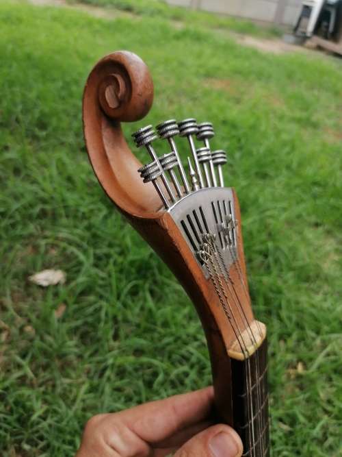 Very rare find a antique banjolin rare model