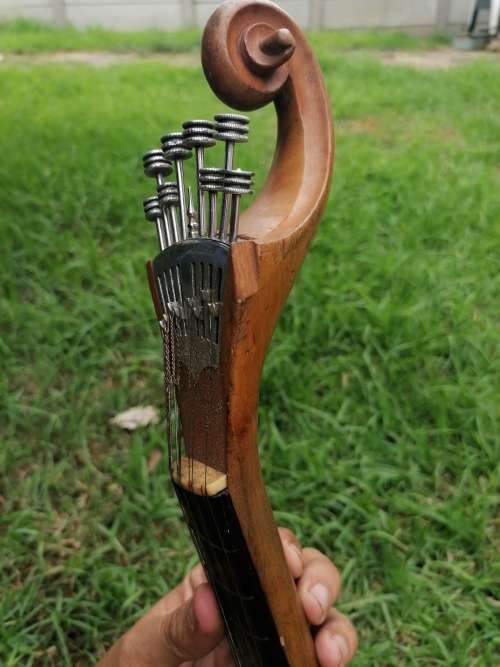 Very rare find a antique banjolin rare model