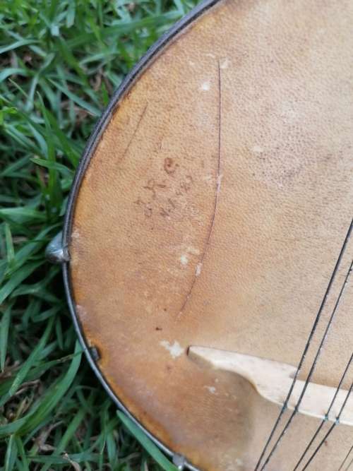 Very rare find a antique banjolin rare model