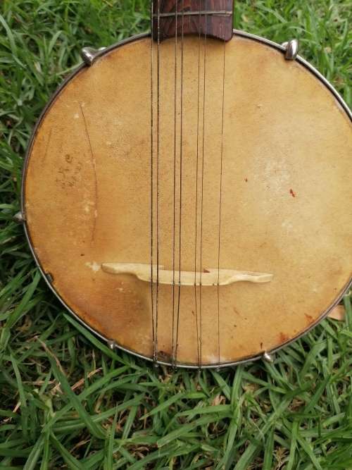 Very rare find a antique banjolin rare model