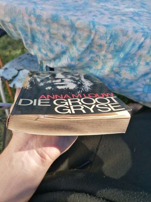Die groot gryse deur Anna M Louw