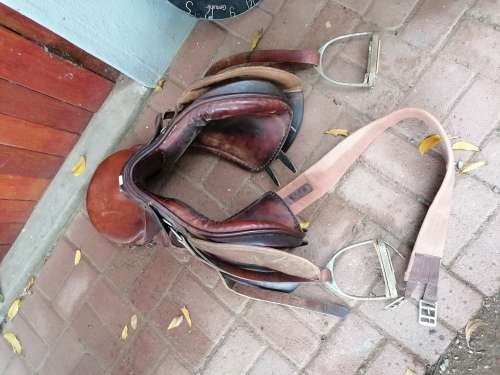 Horse Sadle