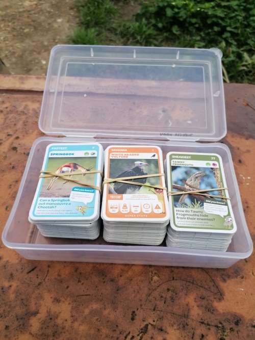 PICK N PAY ANIMAL CARDS