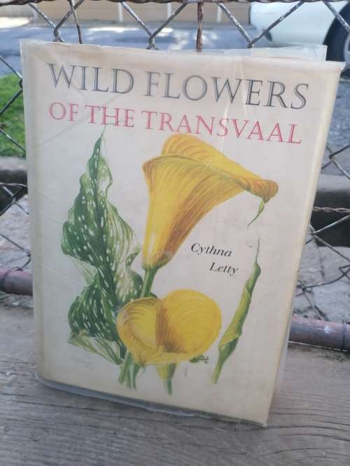 Wild Flowers of the Transvaal Cynthia Letty