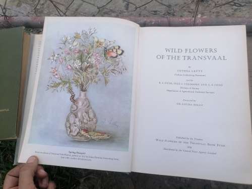 Wild Flowers of the Transvaal Cynthia Letty