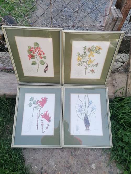 Joan van Gogh signed prints 21/100