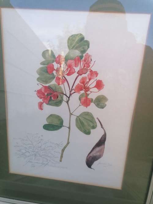 Joan van Gogh signed prints 21/100
