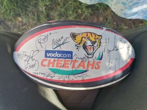 Two signed cheetah rugby balls