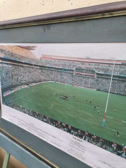 Large 1995 world cup.picture signed by photographer 119cm x 62cm