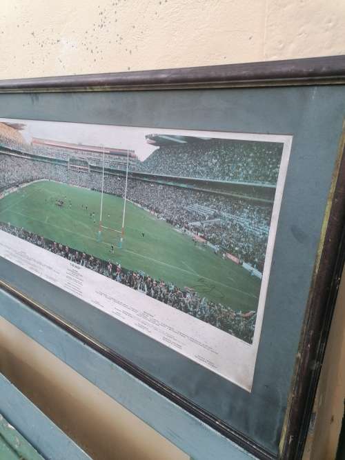 Large 1995 world cup.picture signed by photographer 119cm x 62cm