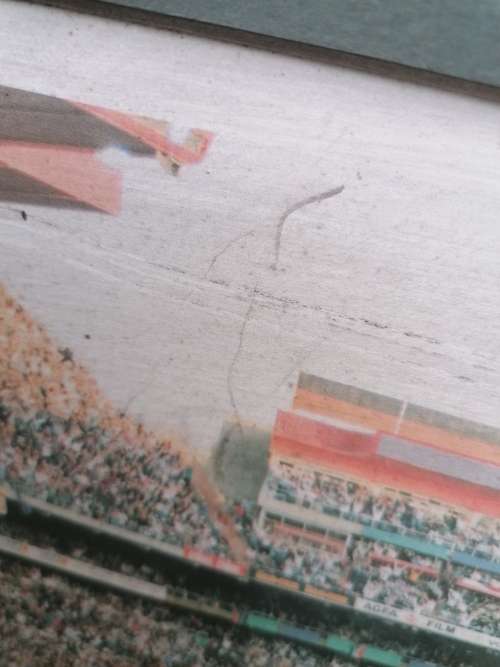 Large 1995 world cup.picture signed by photographer 119cm x 62cm