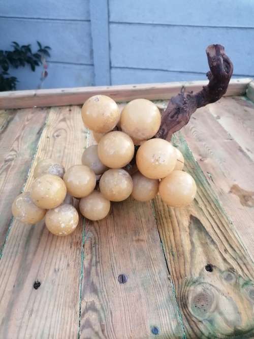 Vintage Large Stone Fruit Grapes