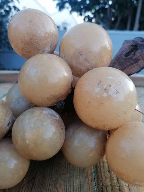 Vintage Large Stone Fruit Grapes