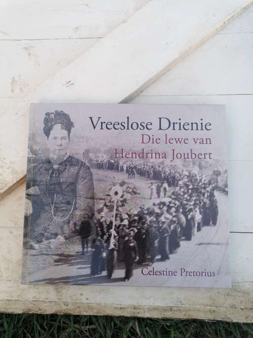 Vreeslose Drienie die lewe van Hendrina Joubert