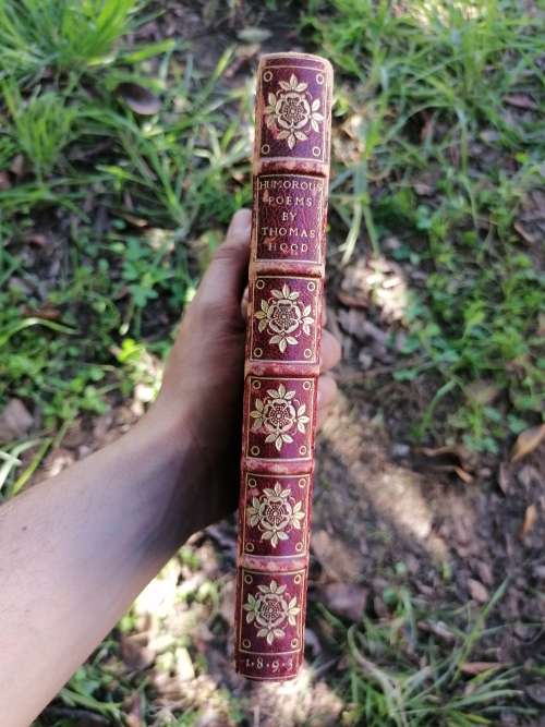 humorous poems by Thomas hood 1893