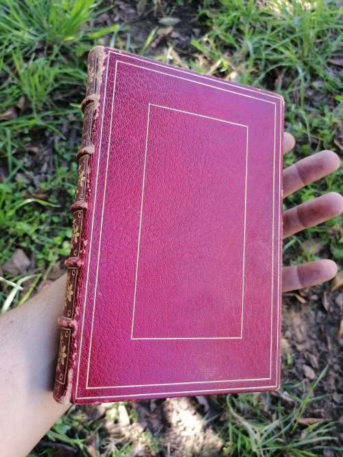 humorous poems by Thomas hood 1893
