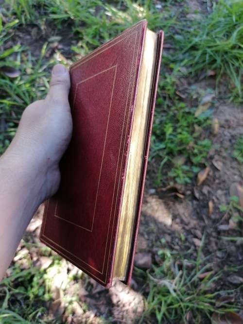 humorous poems by Thomas hood 1893