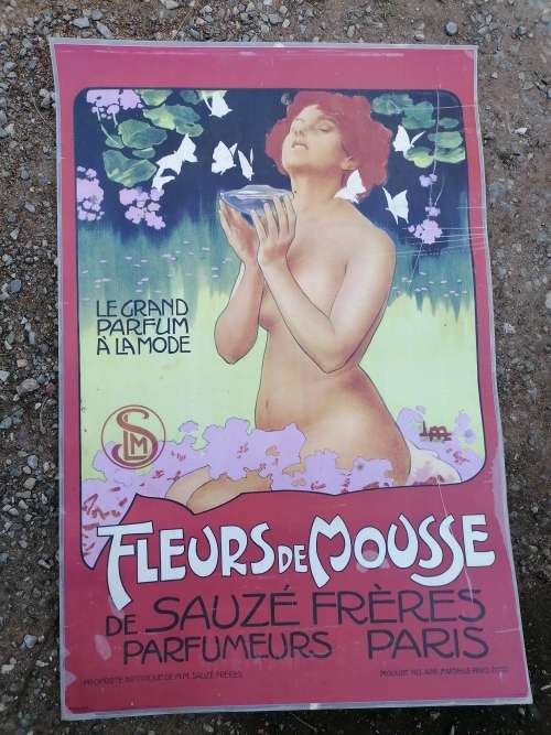 Old Leopoldo Metlicovitz Fleurs de Mousse, laminated poster