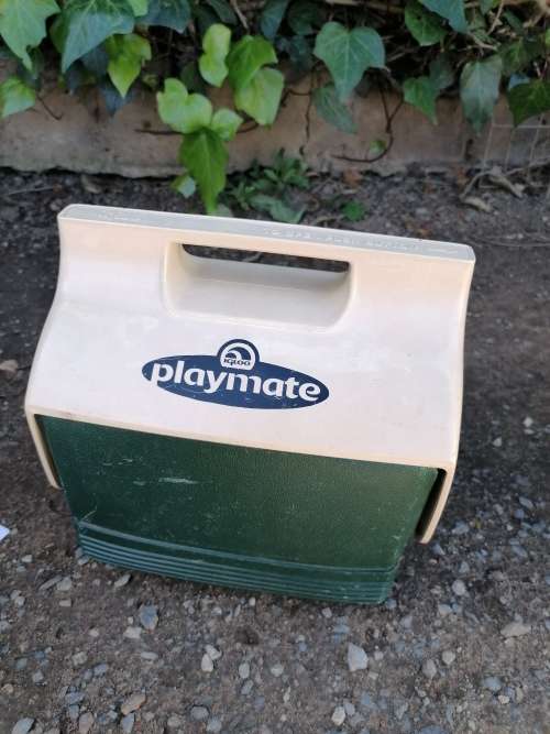 COOLER ESKY 6 LITRE