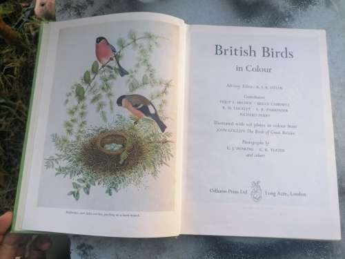 British Birds in Colour R S R Fitter (Ed)