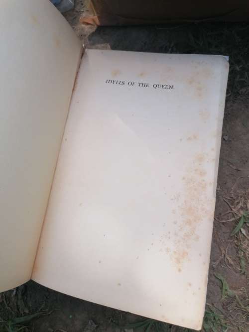 Idylls of the Queen Book by Philip Guedalla 1937