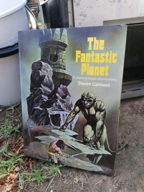 The Fantastic Planet: A World Of Magic And Mystery - Steven Caldwell